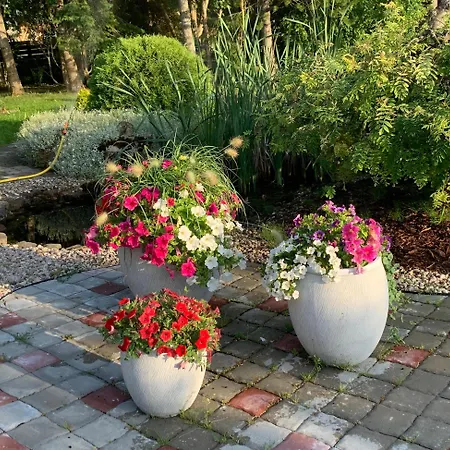 Russet & Rowanberry - Rowanberry Retreat Kriilevälja