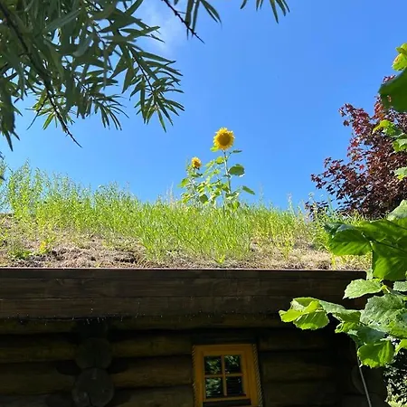 بيت للعطل Russet & Rowanberry - Rowanberry Retreat *